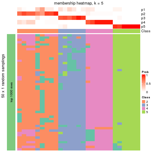 plot of chunk tab-node-032-membership-heatmap-4