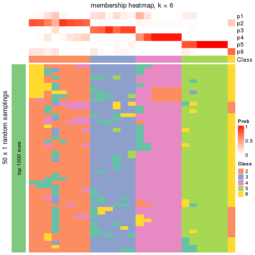 plot of chunk tab-node-032-membership-heatmap-5