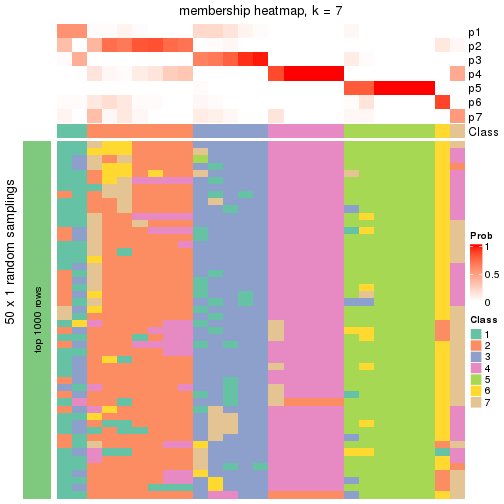 plot of chunk tab-node-032-membership-heatmap-6