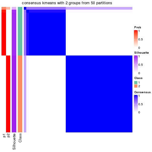 plot of chunk tab-node-033-consensus-heatmap-1