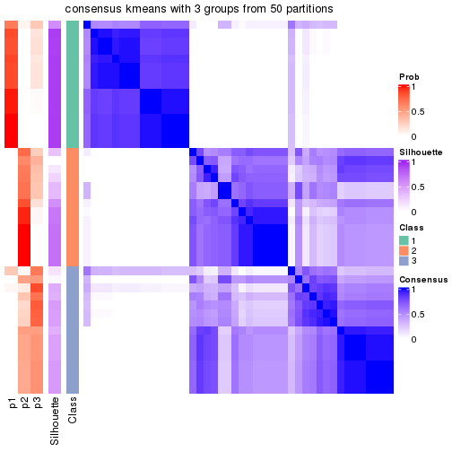 plot of chunk tab-node-033-consensus-heatmap-2