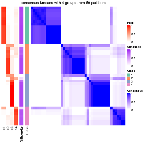 plot of chunk tab-node-033-consensus-heatmap-3