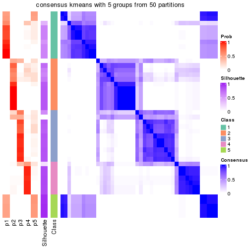 plot of chunk tab-node-033-consensus-heatmap-4