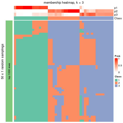 plot of chunk tab-node-033-membership-heatmap-2