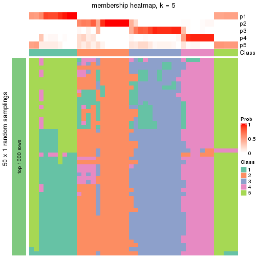 plot of chunk tab-node-033-membership-heatmap-4