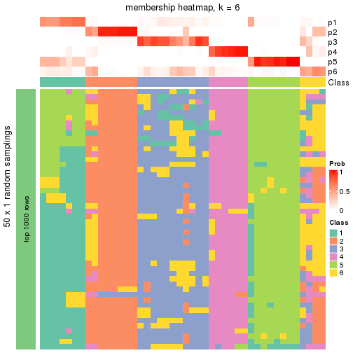 plot of chunk tab-node-033-membership-heatmap-5