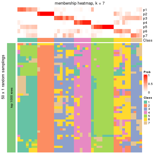 plot of chunk tab-node-033-membership-heatmap-6