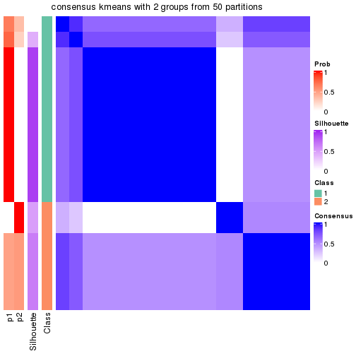 plot of chunk tab-node-034-consensus-heatmap-1