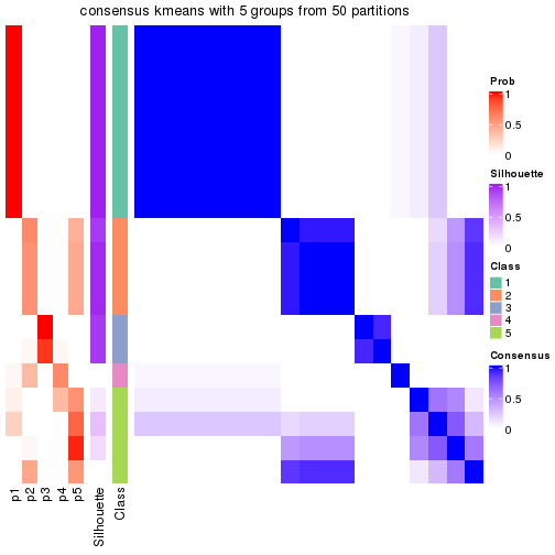 plot of chunk tab-node-034-consensus-heatmap-4