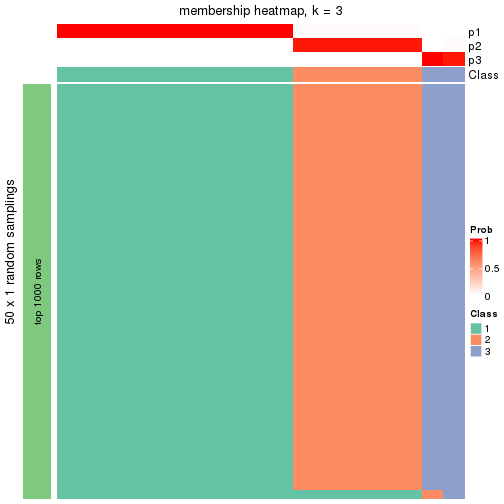 plot of chunk tab-node-034-membership-heatmap-2