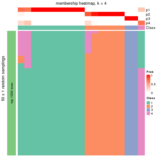 plot of chunk tab-node-034-membership-heatmap-3