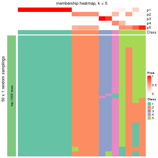 plot of chunk tab-node-034-membership-heatmap-4