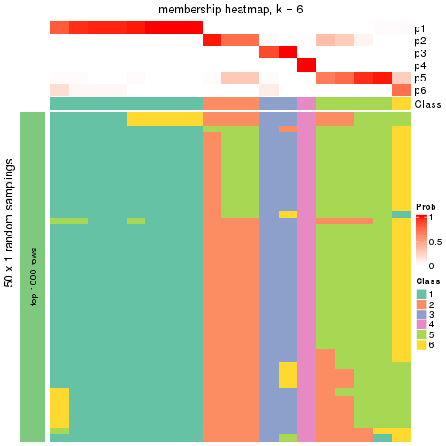 plot of chunk tab-node-034-membership-heatmap-5