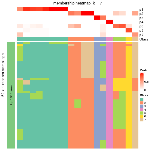 plot of chunk tab-node-034-membership-heatmap-6