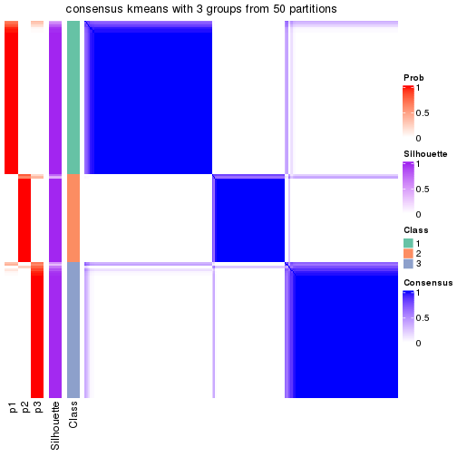 plot of chunk tab-node-04-consensus-heatmap-2