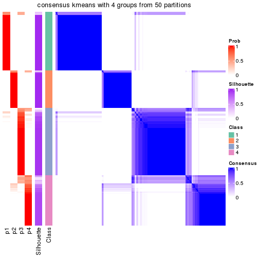 plot of chunk tab-node-04-consensus-heatmap-3