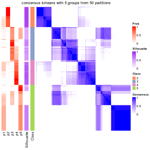 plot of chunk tab-node-04-consensus-heatmap-4