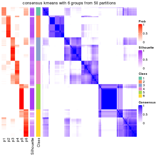 plot of chunk tab-node-04-consensus-heatmap-5