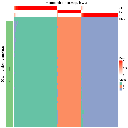 plot of chunk tab-node-04-membership-heatmap-2