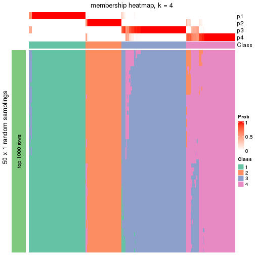 plot of chunk tab-node-04-membership-heatmap-3