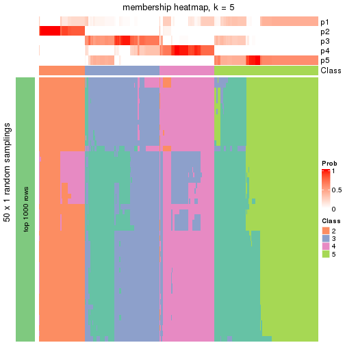 plot of chunk tab-node-04-membership-heatmap-4