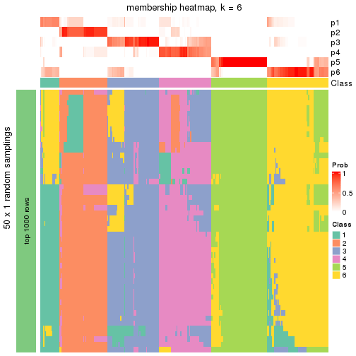 plot of chunk tab-node-04-membership-heatmap-5