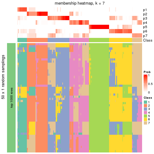 plot of chunk tab-node-04-membership-heatmap-6