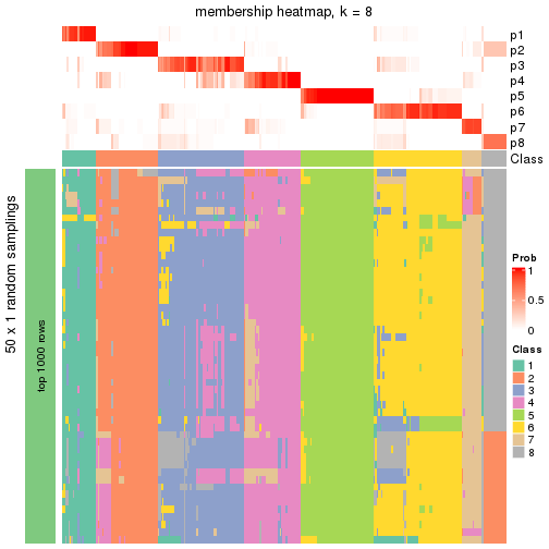 plot of chunk tab-node-04-membership-heatmap-7