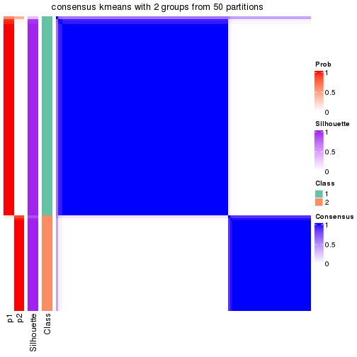 plot of chunk tab-node-041-consensus-heatmap-1