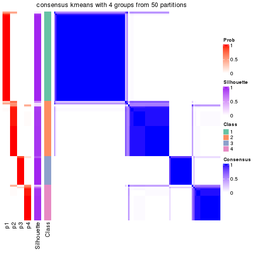 plot of chunk tab-node-041-consensus-heatmap-3