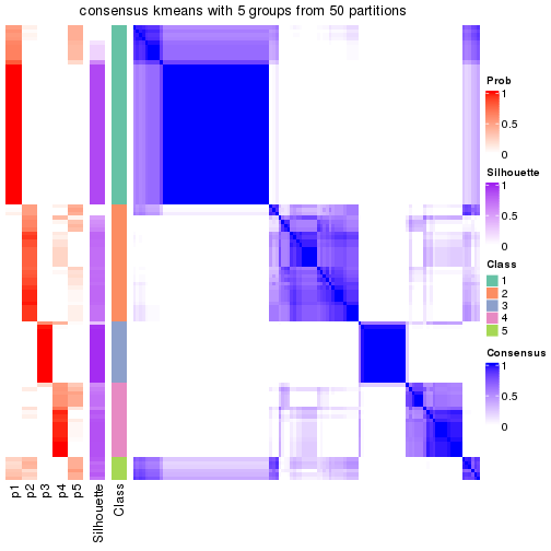 plot of chunk tab-node-041-consensus-heatmap-4