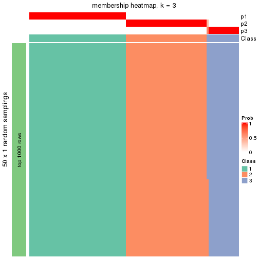 plot of chunk tab-node-041-membership-heatmap-2