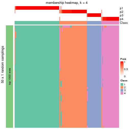 plot of chunk tab-node-041-membership-heatmap-3