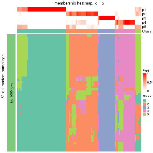 plot of chunk tab-node-041-membership-heatmap-4