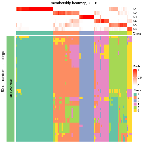 plot of chunk tab-node-041-membership-heatmap-5