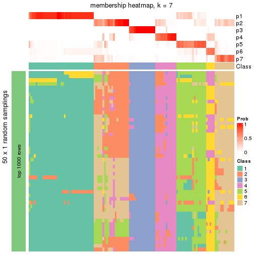 plot of chunk tab-node-041-membership-heatmap-6