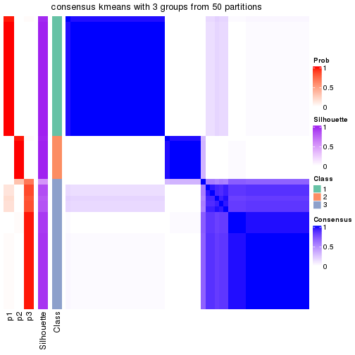 plot of chunk tab-node-0411-consensus-heatmap-2