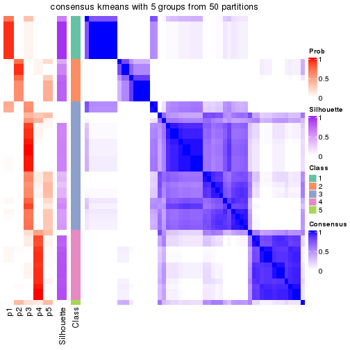 plot of chunk tab-node-0411-consensus-heatmap-4