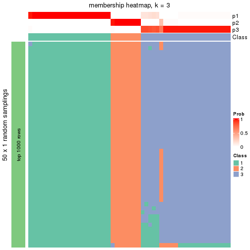 plot of chunk tab-node-0411-membership-heatmap-2