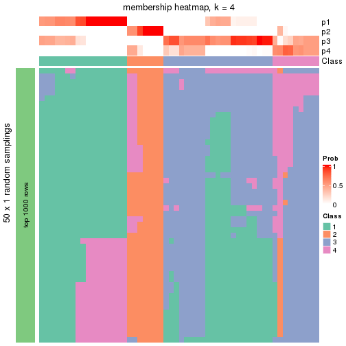 plot of chunk tab-node-0411-membership-heatmap-3