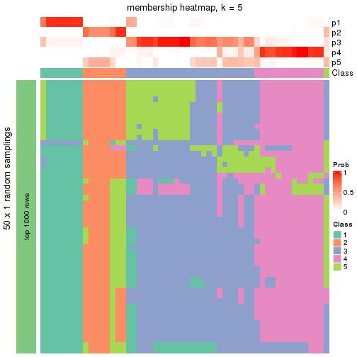 plot of chunk tab-node-0411-membership-heatmap-4