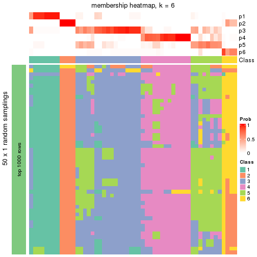 plot of chunk tab-node-0411-membership-heatmap-5