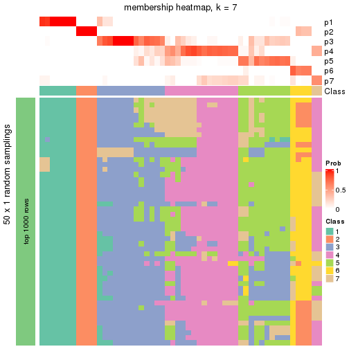 plot of chunk tab-node-0411-membership-heatmap-6