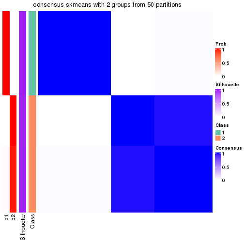 plot of chunk tab-node-04113-consensus-heatmap-1