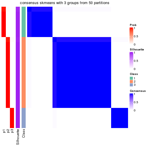 plot of chunk tab-node-04113-consensus-heatmap-2