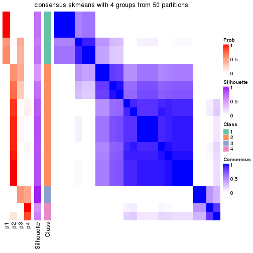 plot of chunk tab-node-04113-consensus-heatmap-3