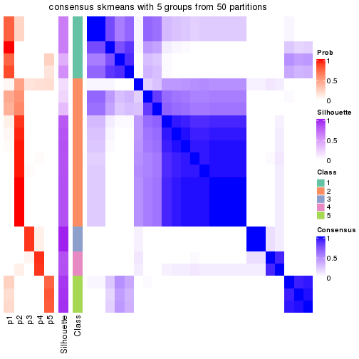 plot of chunk tab-node-04113-consensus-heatmap-4