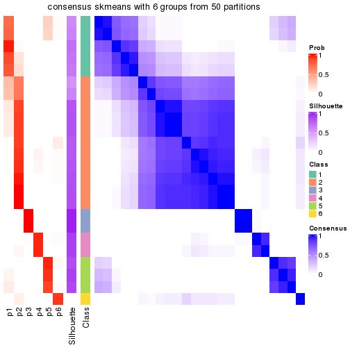 plot of chunk tab-node-04113-consensus-heatmap-5