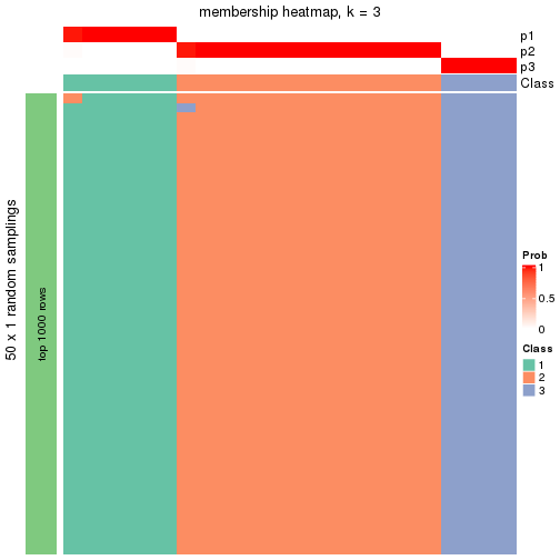 plot of chunk tab-node-04113-membership-heatmap-2