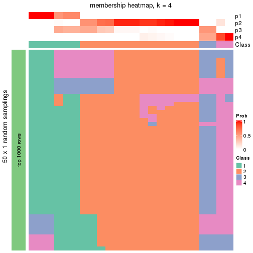 plot of chunk tab-node-04113-membership-heatmap-3